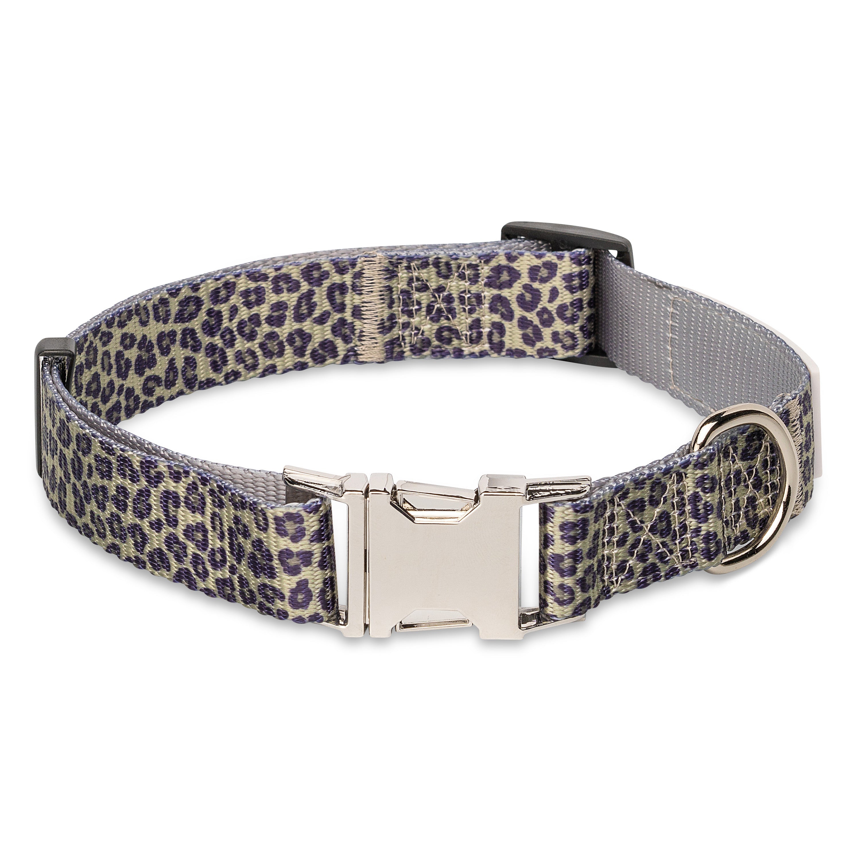 The Modern Dog Company - Walk on the Wild Side