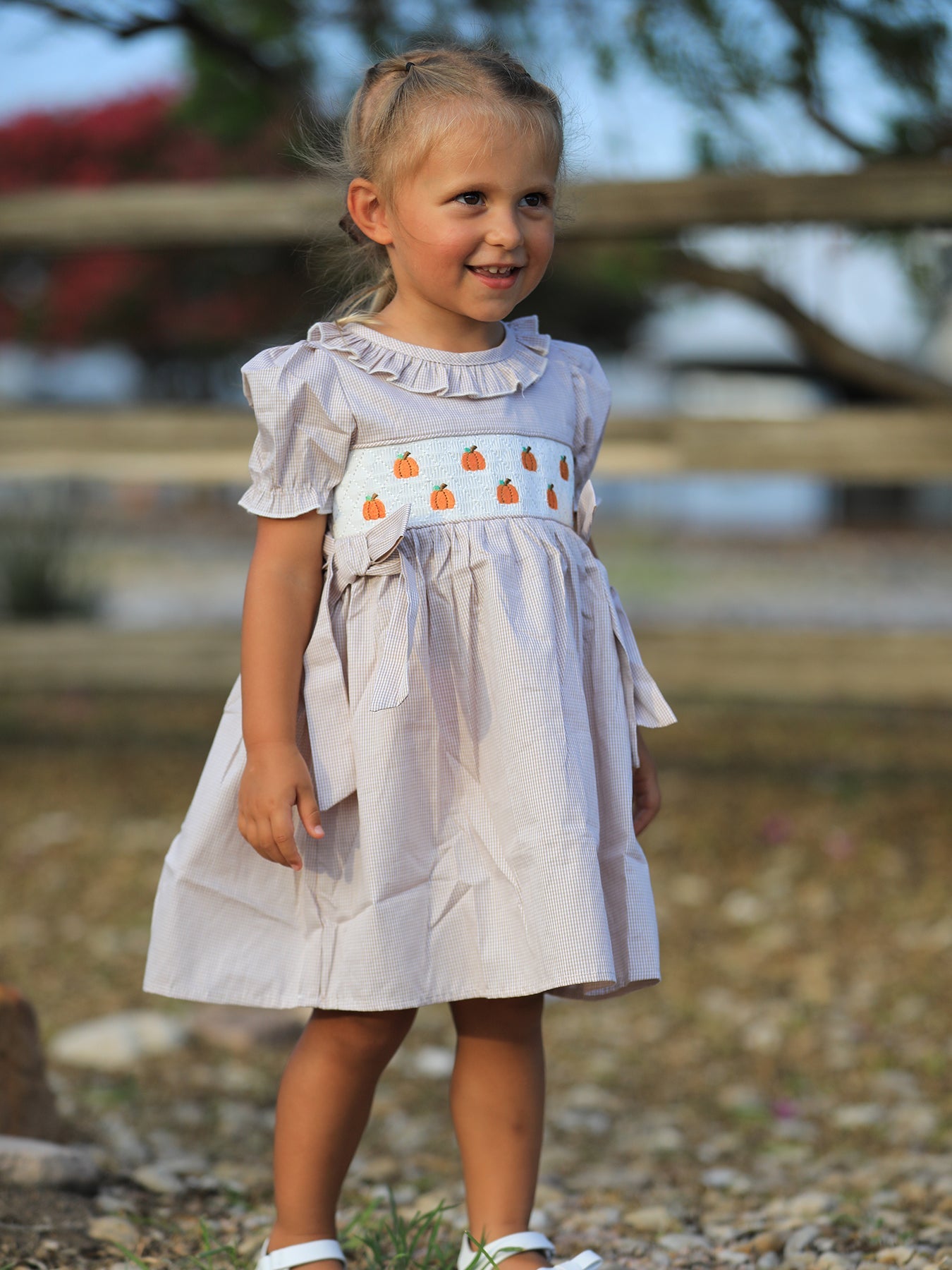 Fall Thanksgiving Pumpkin Embroidery Smock Plaid Girls Dress