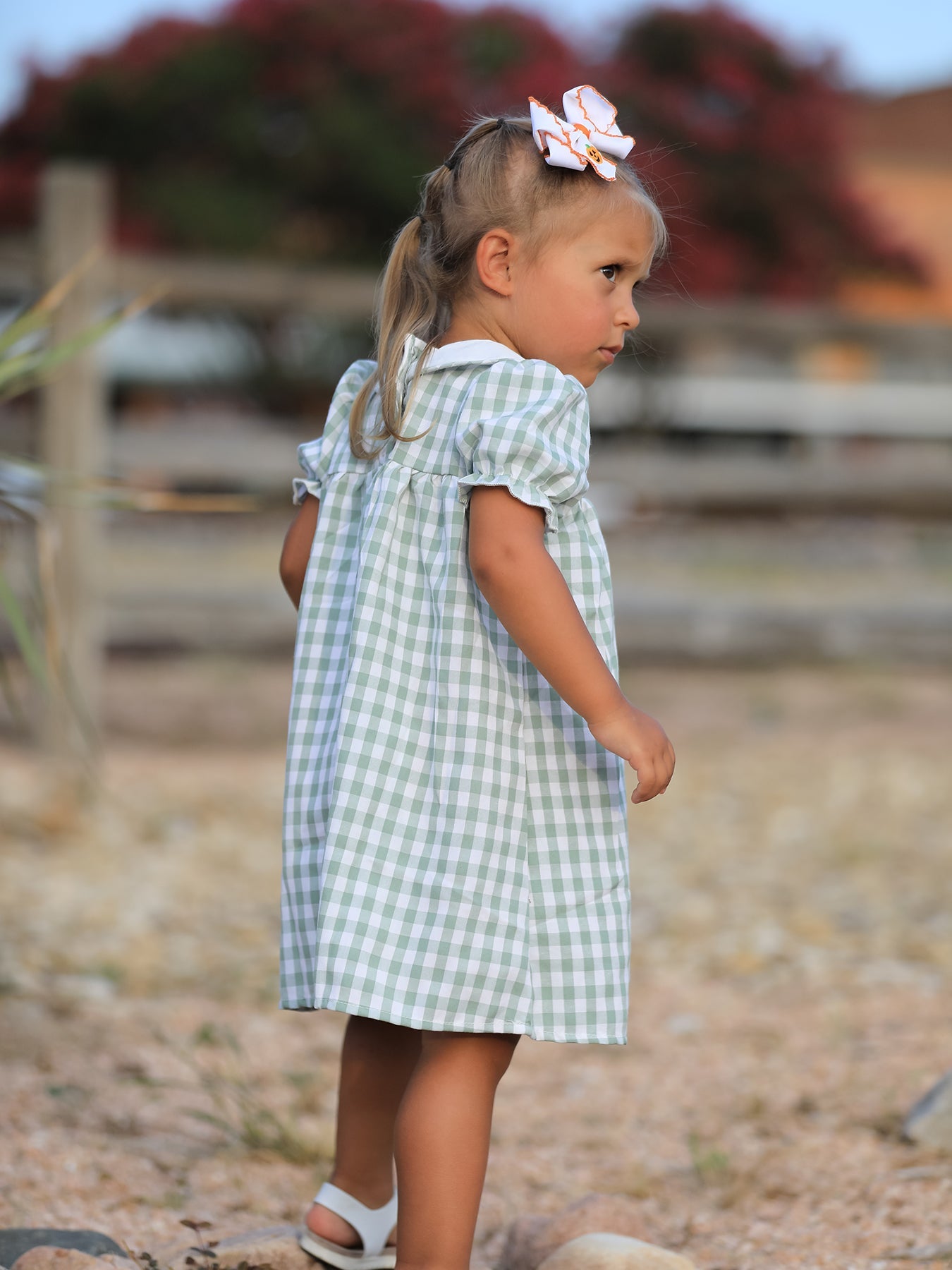 Fall Halloween & Thanksgiving Pumpkin Applique Plaid Green Girls Dress